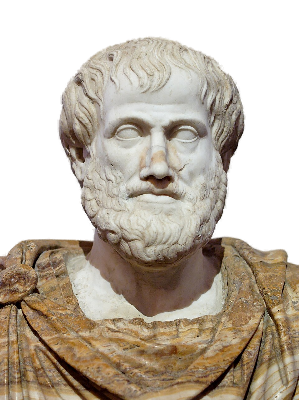 Busto de mármol de Aristóteles, Palazzo Altemps